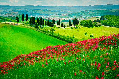 toscana verde jigsaw puzzle