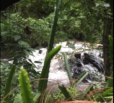 Naturaleza Valle de Bravo