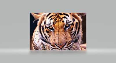 lion jigsaw puzzle