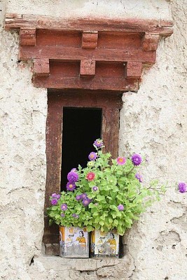 פאזל של ventana