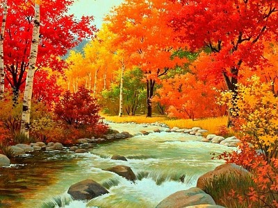 Autumn forest