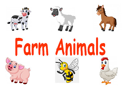 Farm Animals