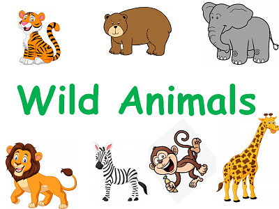 פאזל של Wild Animals