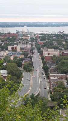 AVENIDA EN HAMILTON
