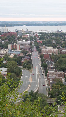 פאזל של AVENIDA EN HAMILTON