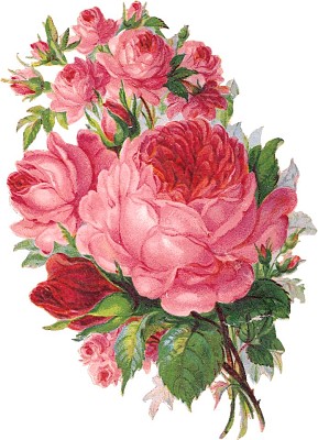 Rosas jigsaw puzzle