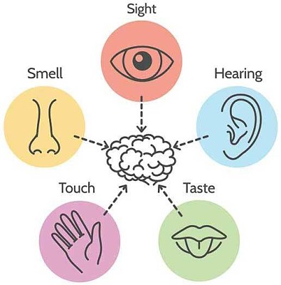 פאזל של Five senses