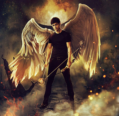 alec lightwood jigsaw puzzle