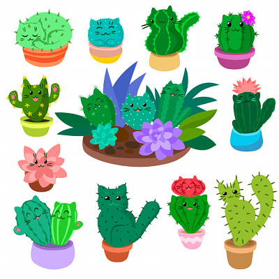 plantas