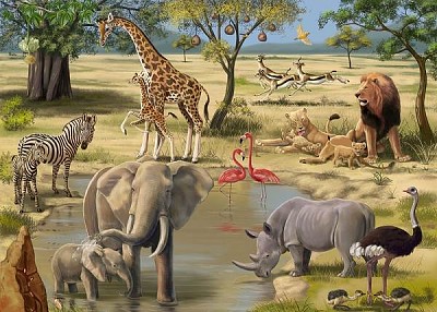 Wild Animals jigsaw puzzle