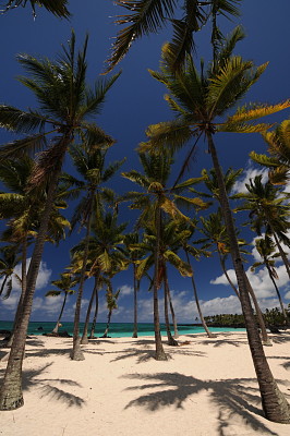 פאזל של Playa tropical
