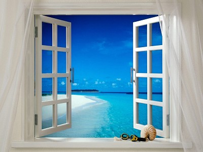 Tropical window