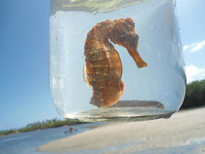 Porto de Galinhas/PE