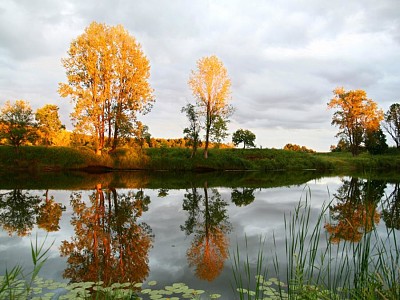 פאזל של effet miroir