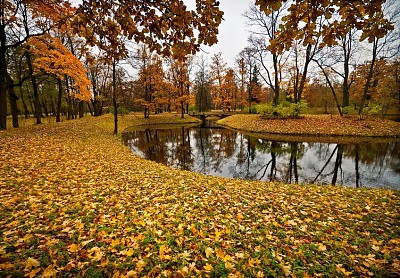 פאזל של automne