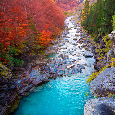 otoÃ±o en el arroyo