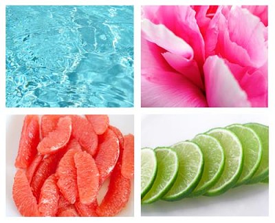 Colores tropicales jigsaw puzzle