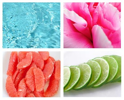 Colores tropicales