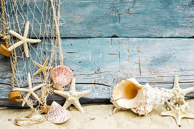 פאזל של Starfishes and seashells