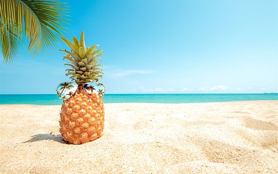 Sunglasses and pineapple