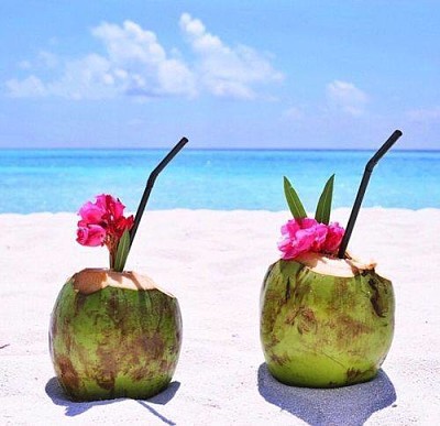 Beach coconuts jigsaw puzzle