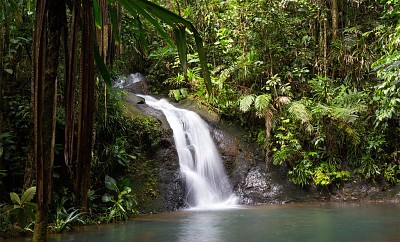 פאזל של Short waterfall