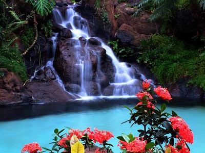 Cascadas y flores