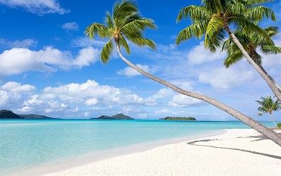 Tropical beach jigsaw puzzle