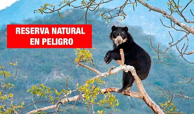 ÃREAS PROTEGIDAS NATURALES