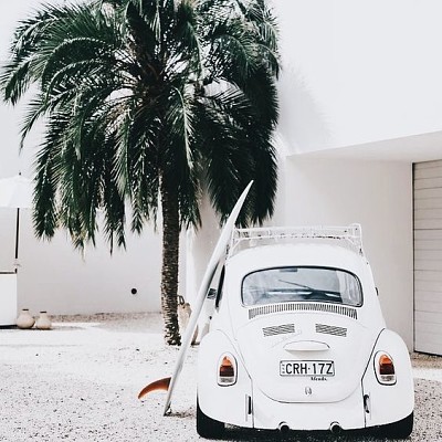 Fusca and palm tree jigsaw puzzle