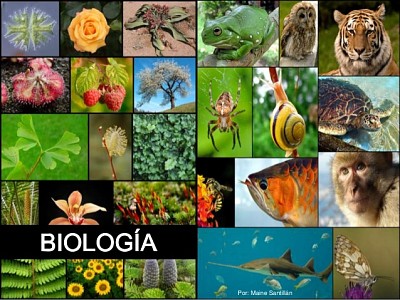 BIOLOGIA jigsaw puzzle