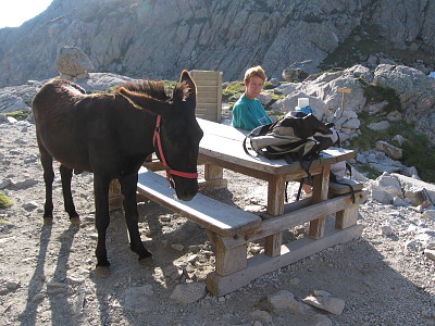 pyrenees