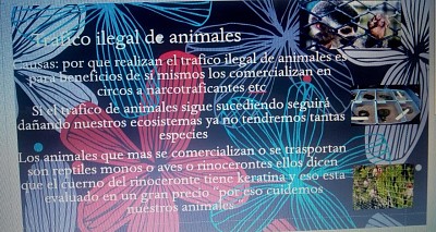 causas del trafico de animales jigsaw puzzle