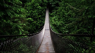 Forest bridge jigsaw puzzle