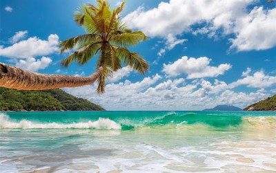 Tropical waves jigsaw puzzle