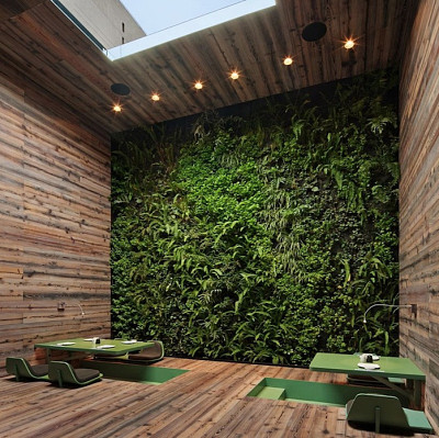 Green wall jigsaw puzzle