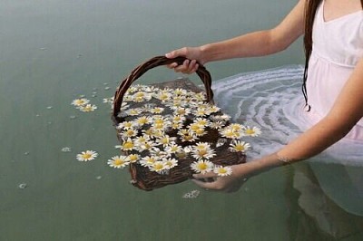 פאזל של Water daisies