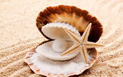 Pearl, starfish and seashells
