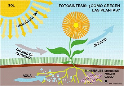 HÃ¡bitos saludables