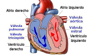 CorazÃ³n 2 jigsaw puzzle