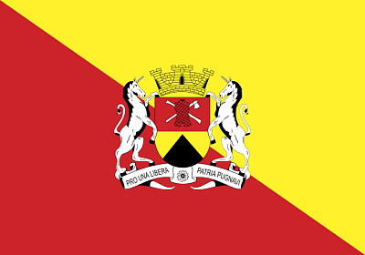 Bandeira de Sorocaba jigsaw puzzle