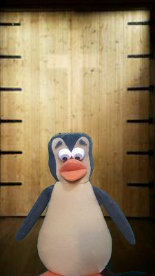 PingÃ¼ino