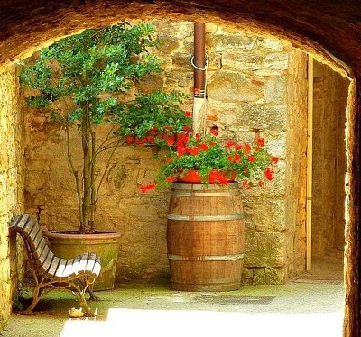 flores