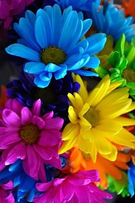 Flores de Colores Vivos jigsaw puzzle