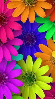 Flores Neon jigsaw puzzle