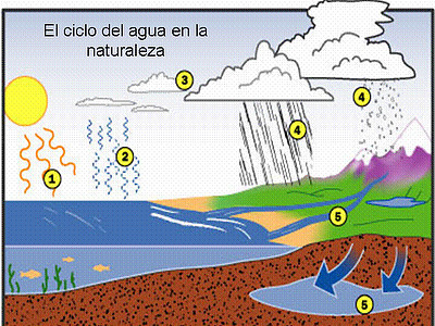 CICLO DEL AGUA jigsaw puzzle