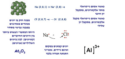 ×¤××–×œ ×©×œ ×™×•× ×™× 2