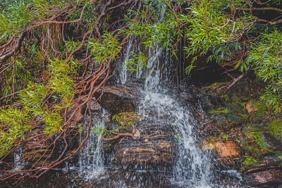 פאזל של Cachoeira na Serra do Cipó - MG