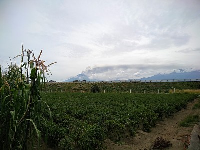 Naturaleza campo