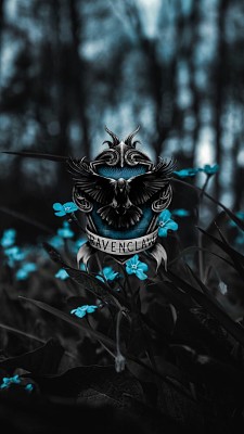 Ravenclaw